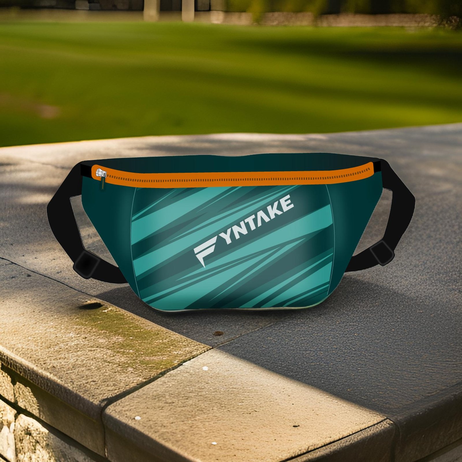 Fyntake-Travller of the India